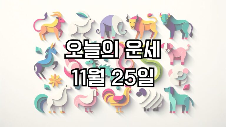 오늘의 운세 11월 25일