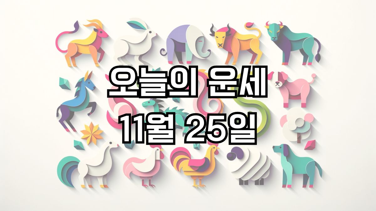 오늘의 운세 11월 25일