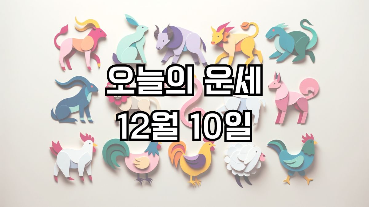 오늘의 운세 12월 10일