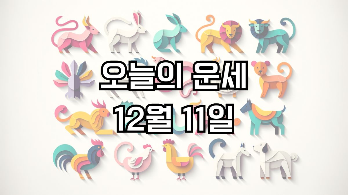 오늘의 운세 12월 11일