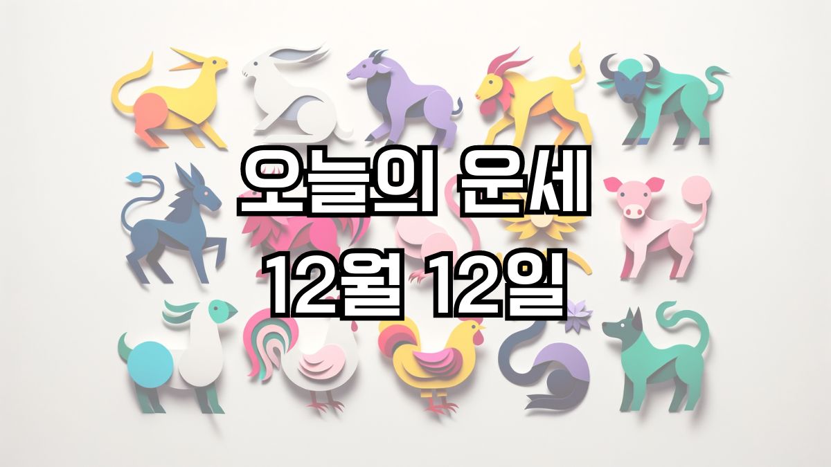 오늘의 운세 12월 12일
