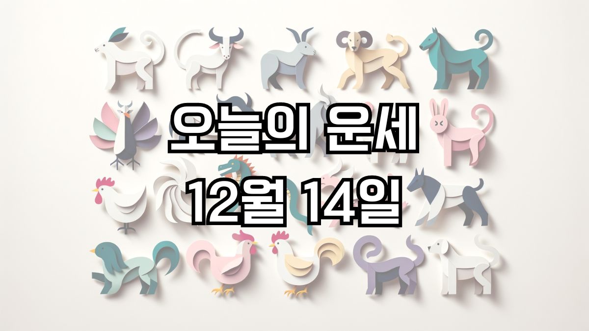 오늘의 운세 12월 14일