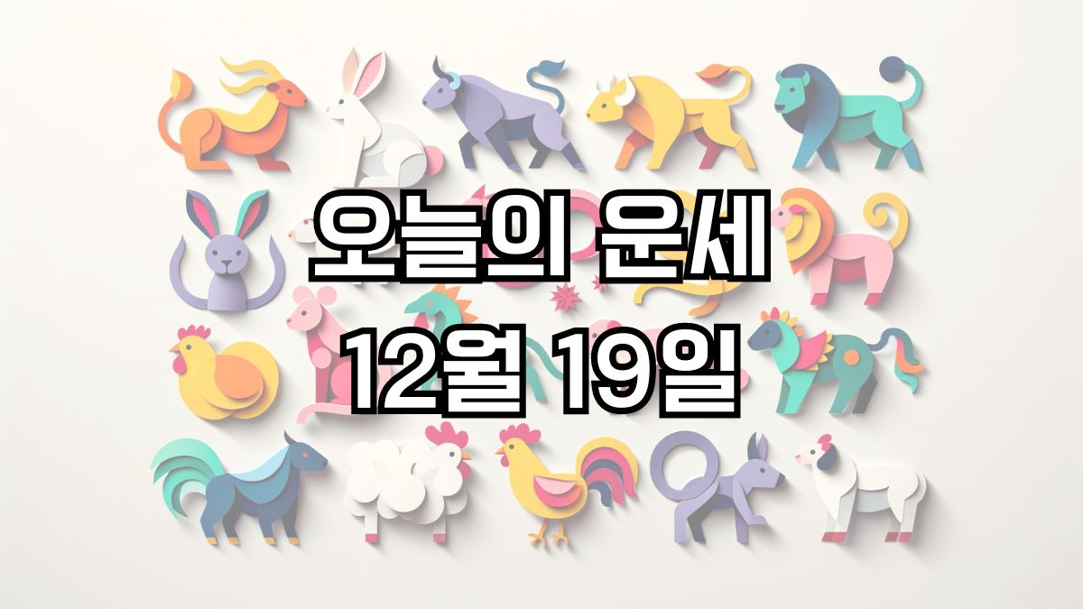 오늘의 운세 12월 19일