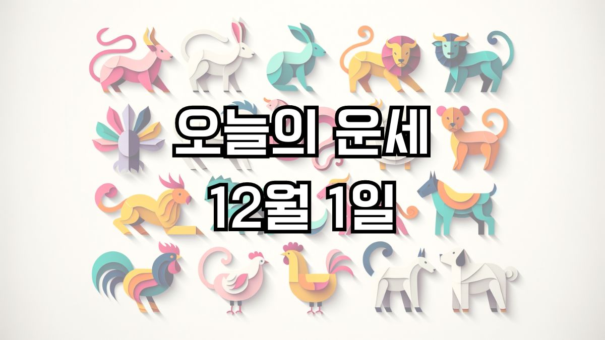 오늘의 운세 12월 1일