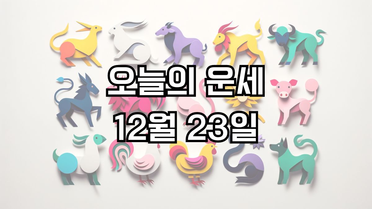 오늘의 운세 12월 23일