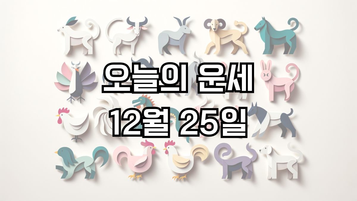 오늘의 운세 12월 25일