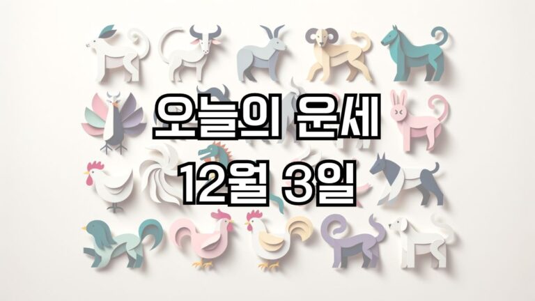 오늘의 운세 12월 3일