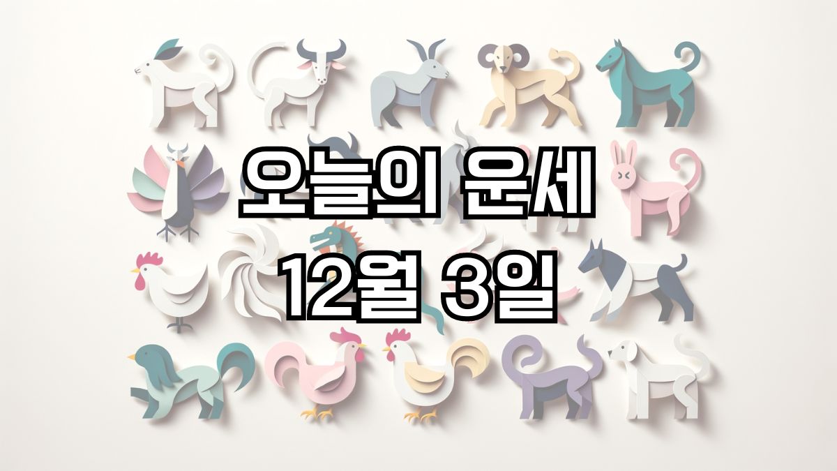 오늘의 운세 12월 3일