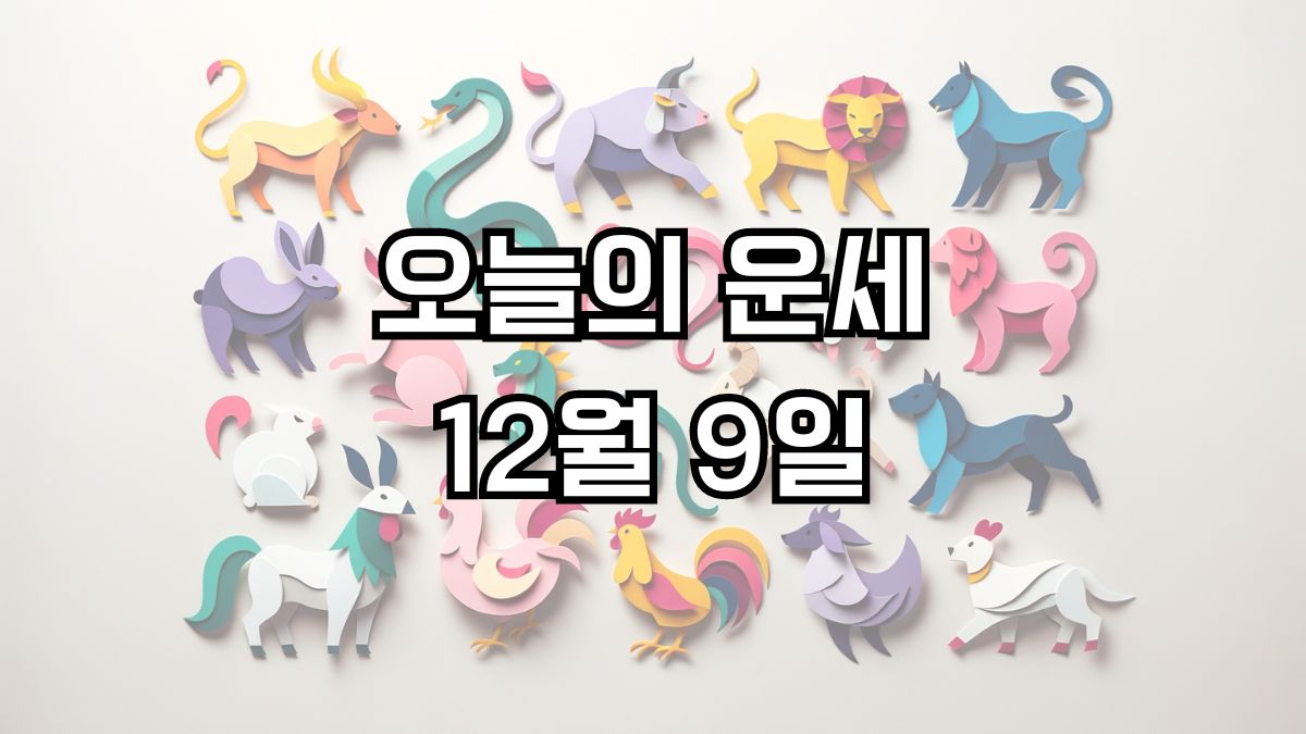 오늘의 운세 12월 9일