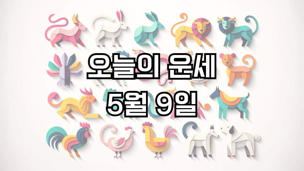 오늘의 운세 5월 9일