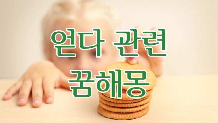 얻다 관련 꿈해몽