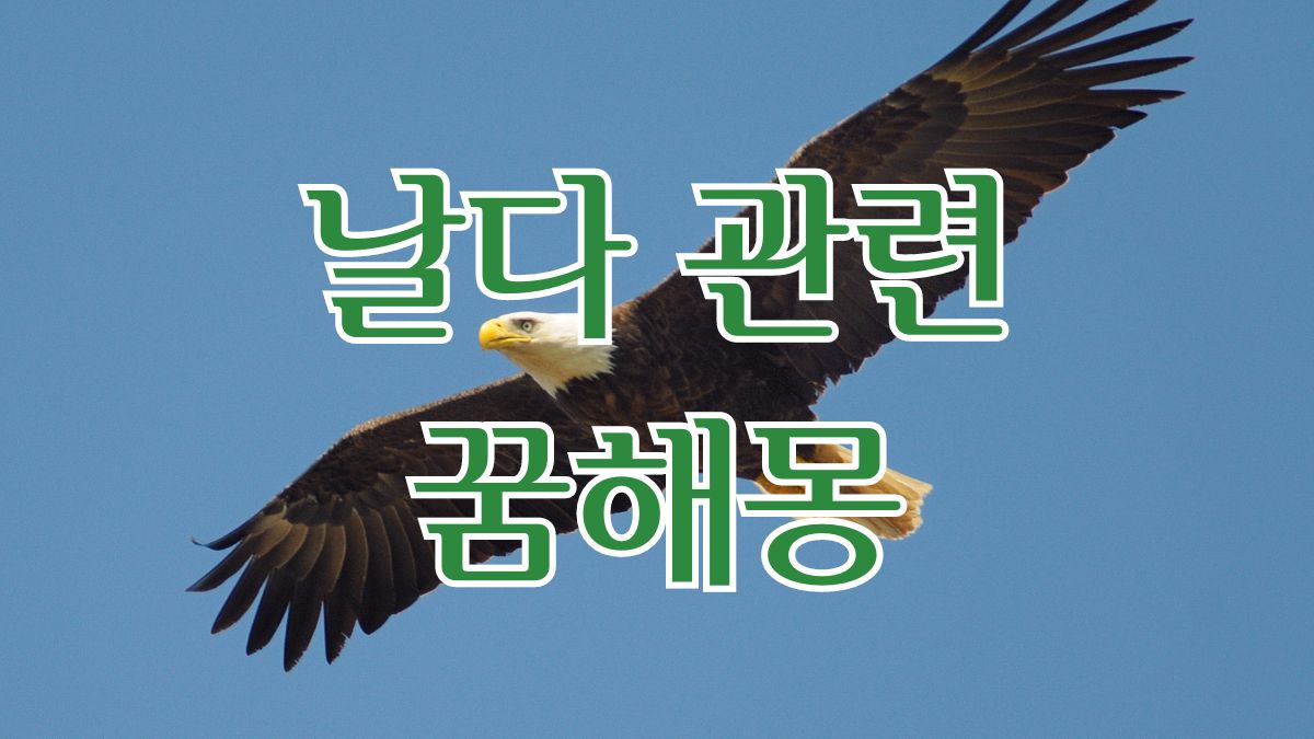 날다 관련 꿈해몽