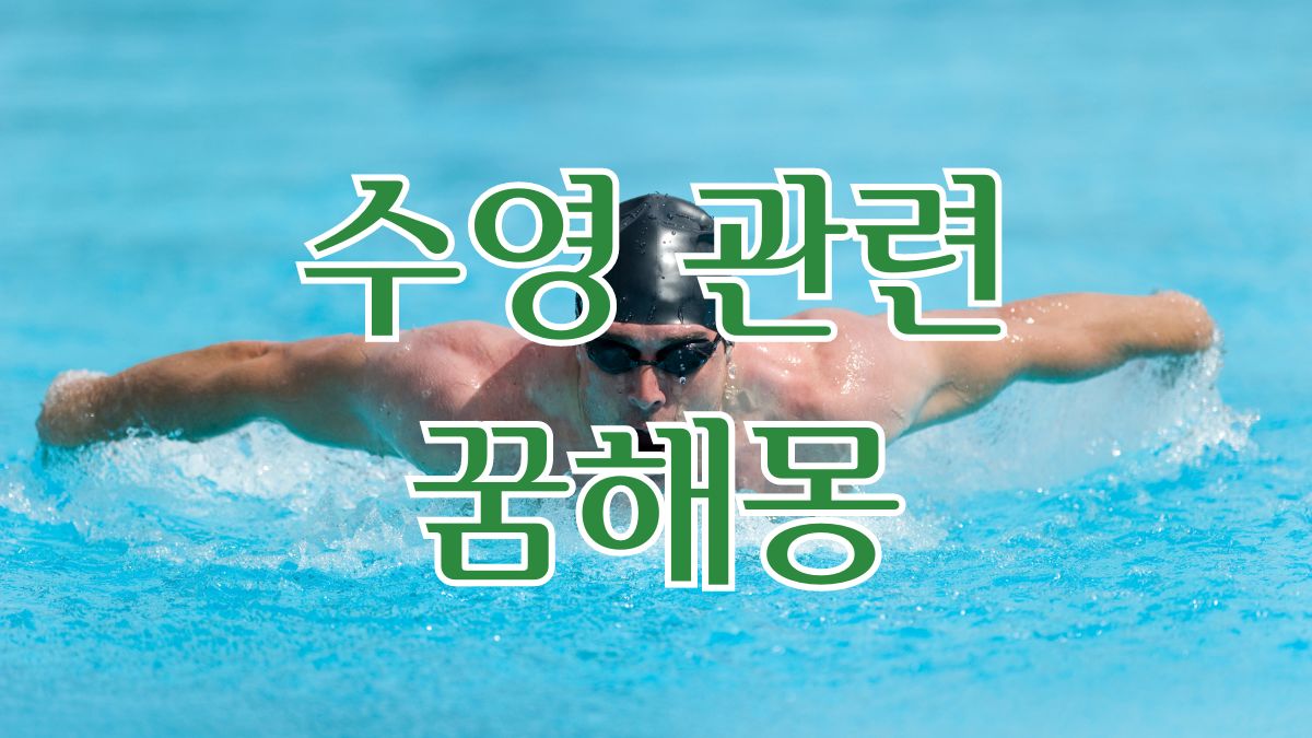 수영 관련 꿈해몽
