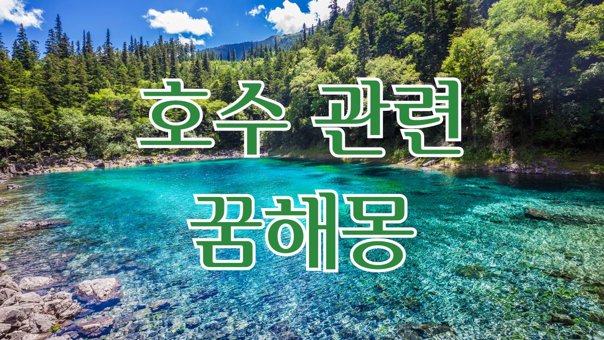 호수 관련 꿈해몽