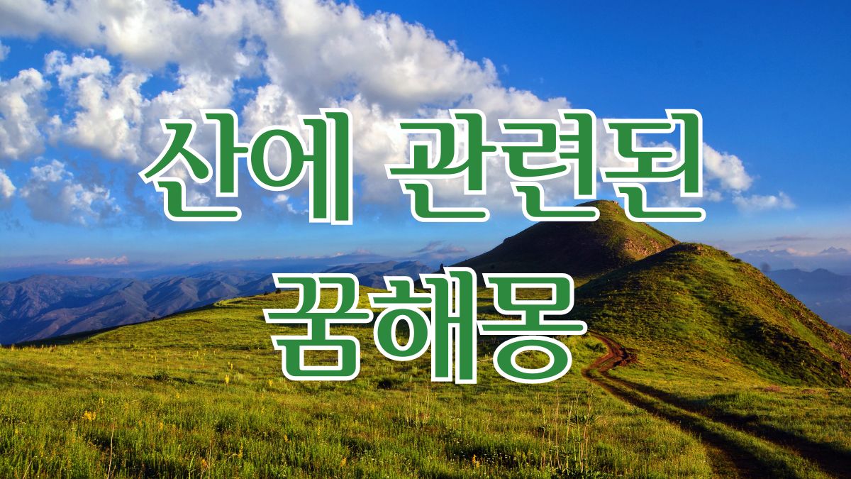 산에 관련된 꿈해몽