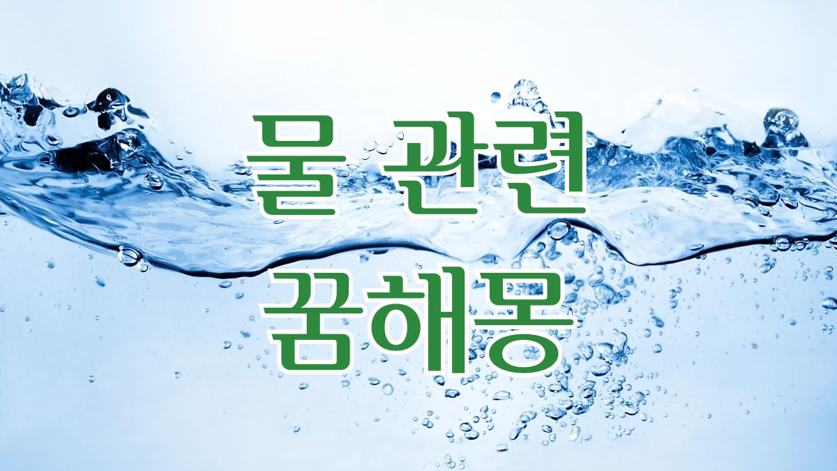 물관련 꿈해몽