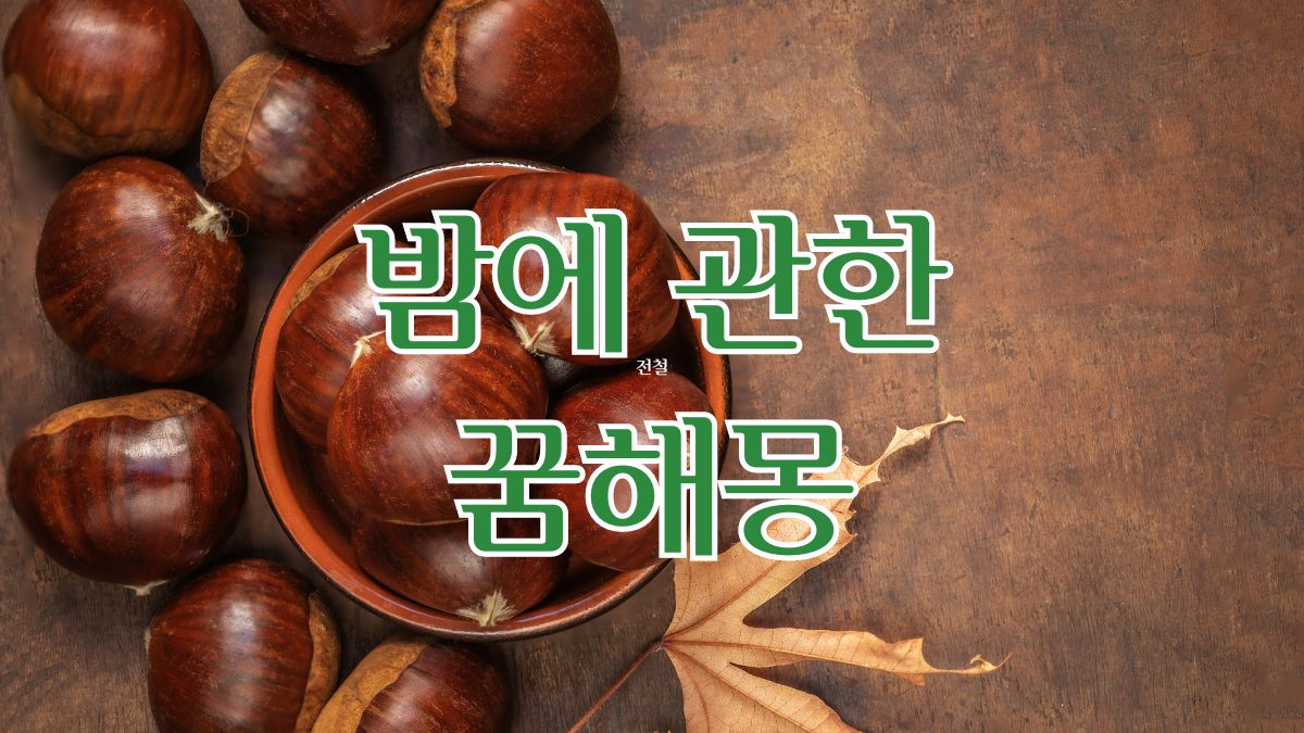 밤에 관한 꿈해몽