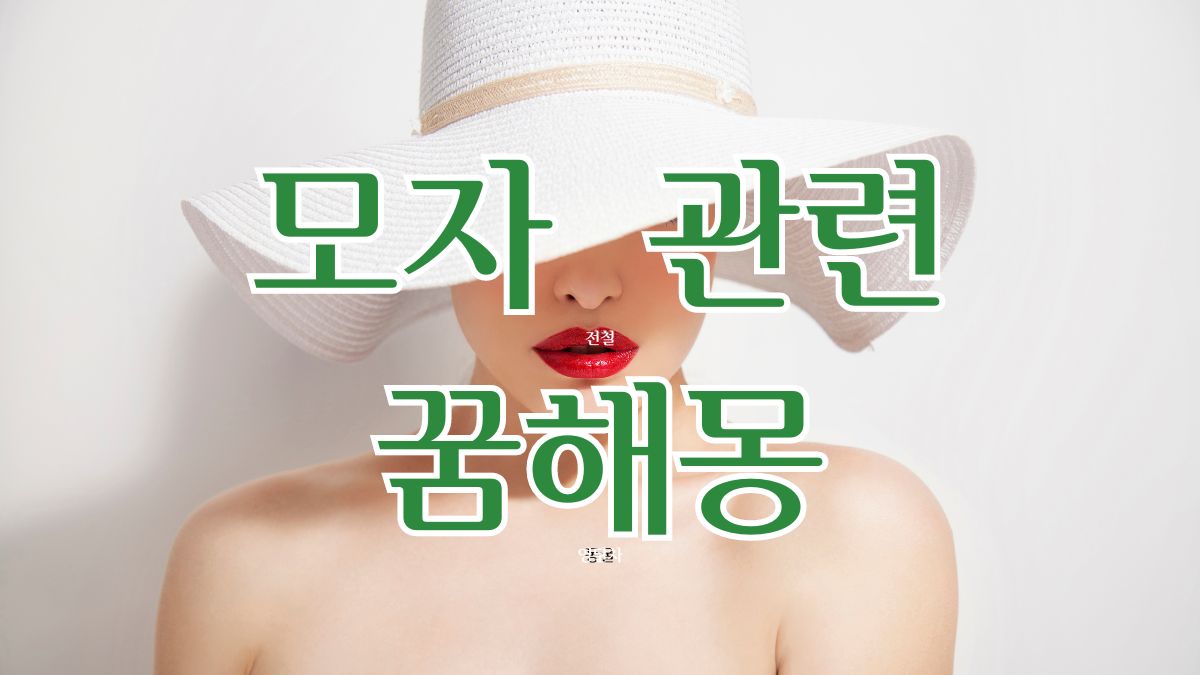 모자 관련 꿈해몽