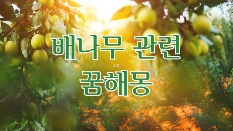 배나무 관련 꿈해몽