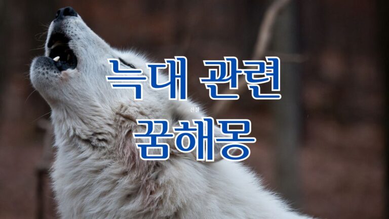 늑대 관련 꿈해몽