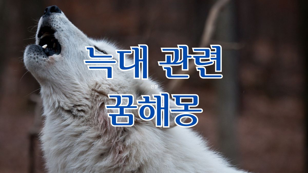 늑대 관련 꿈해몽