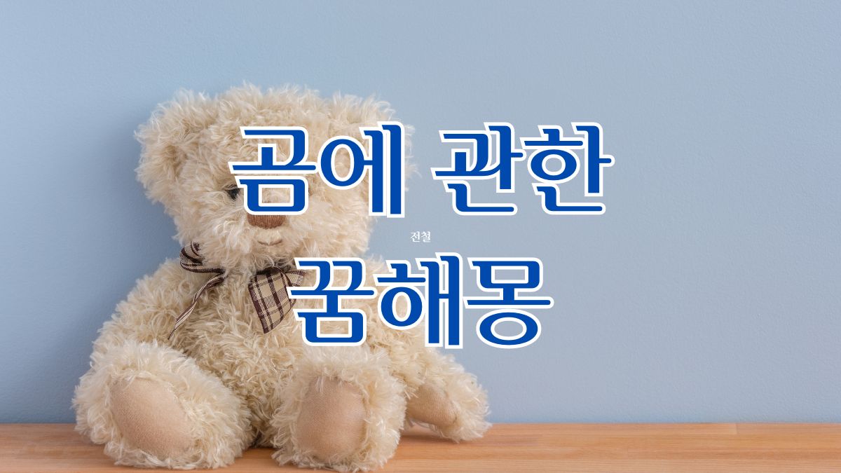 곰에 관한 꿈해몽