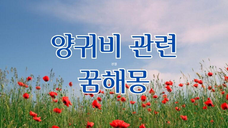 양귀비 관련 꿈해몽
