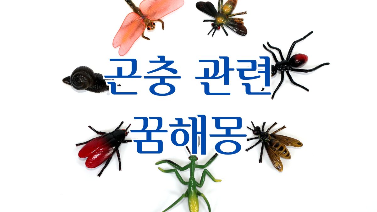 곤충 관련 꿈해몽