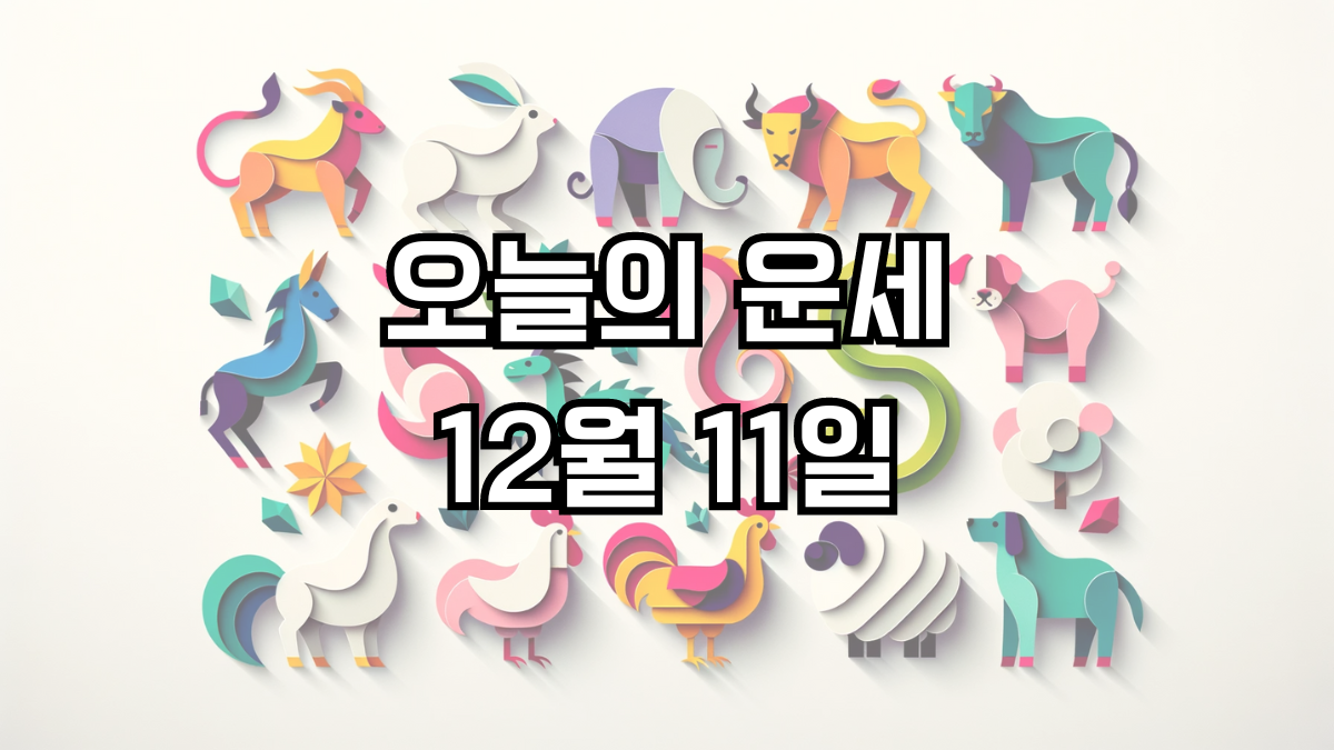 오늘의 운세 12월 11일