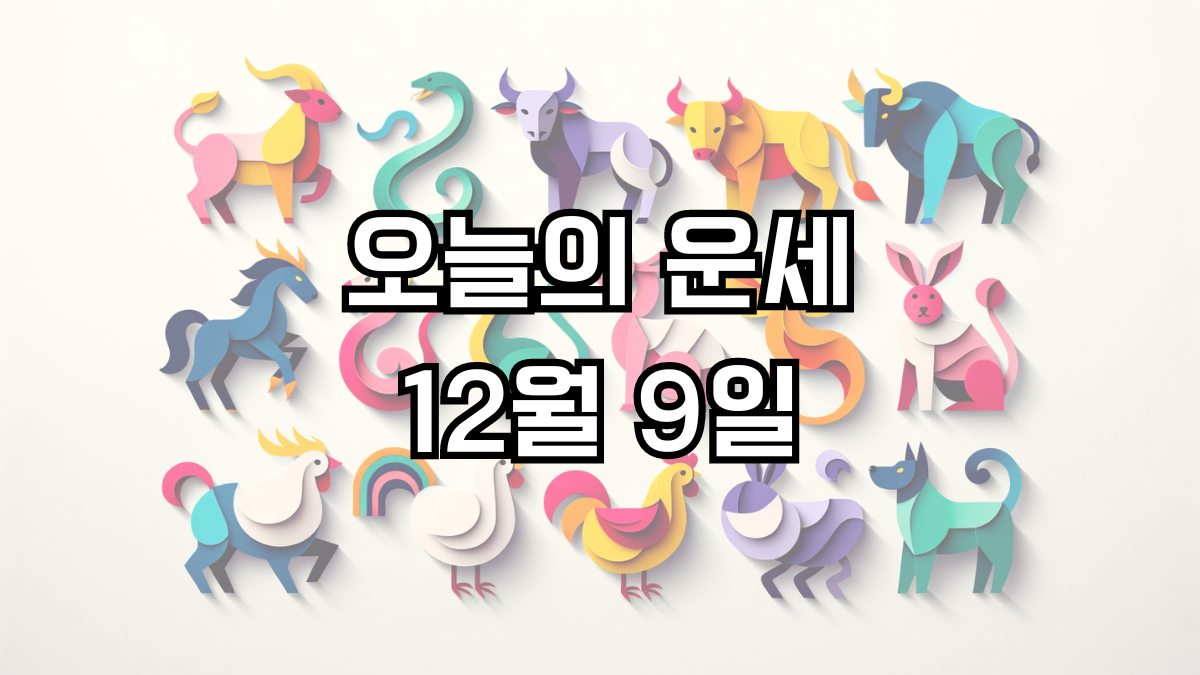 오늘의 운세 12월 9일