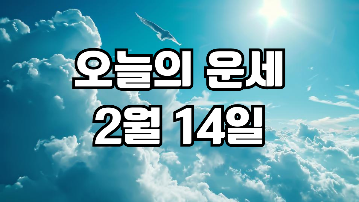 오늘의운세 2월 14일