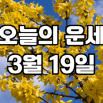 오늘의운세 3월 19일