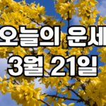 오늘의운세 3월 21일