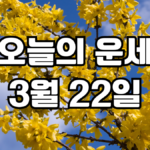 오늘의운세 3월 22일