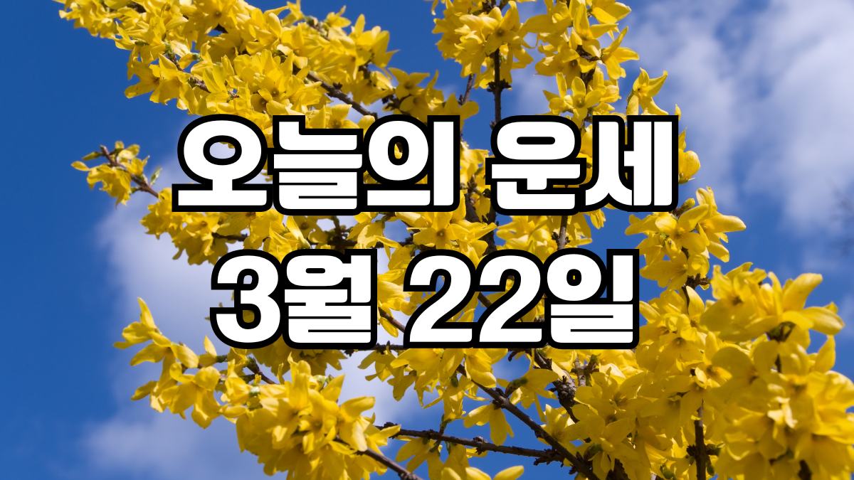 오늘의운세 3월 22일