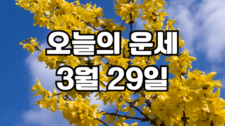 오늘의운세 3월 29일