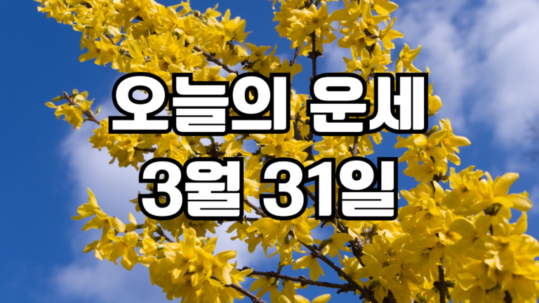 오늘의운세 3월 31일