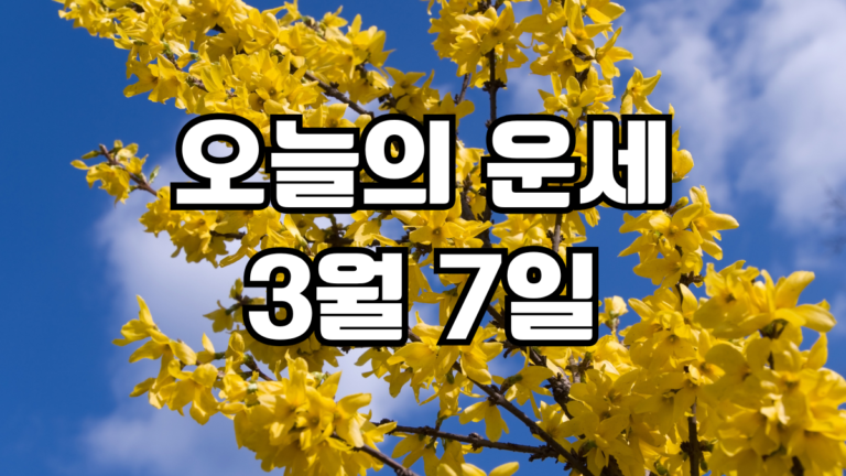 오늘의운세 3월 7일