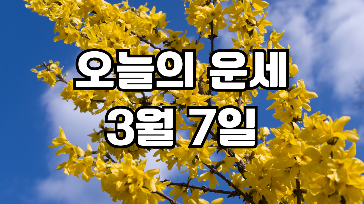 오늘의운세 3월 7일