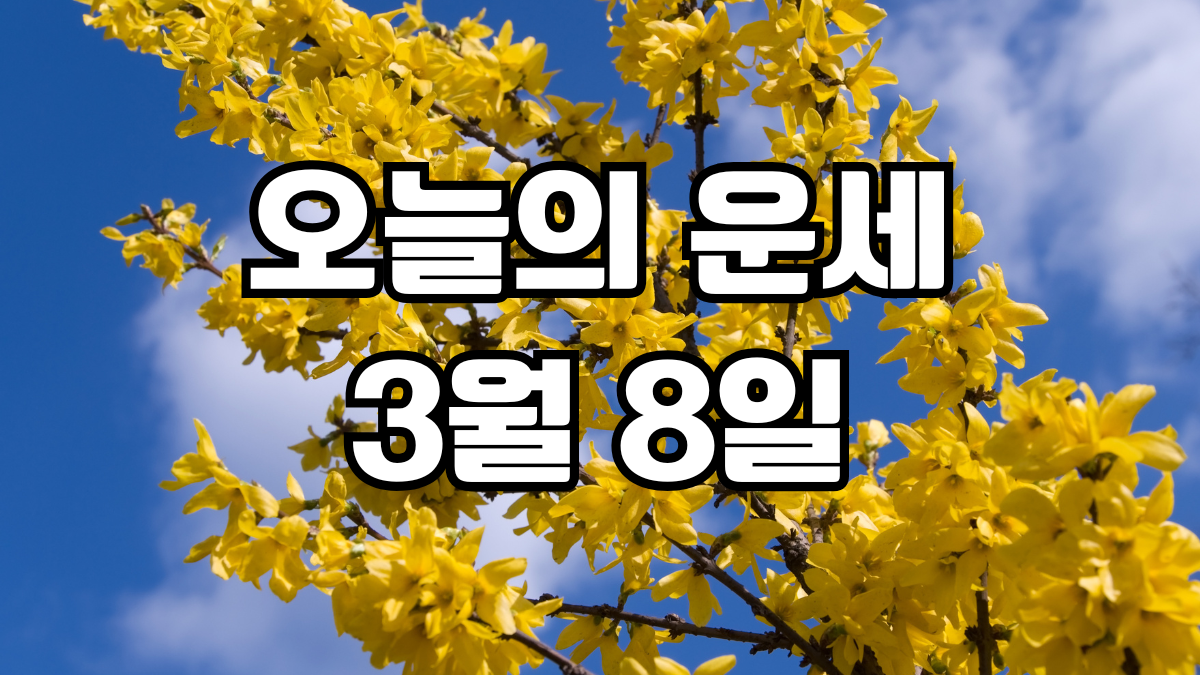 오늘의운세 3월 8일
