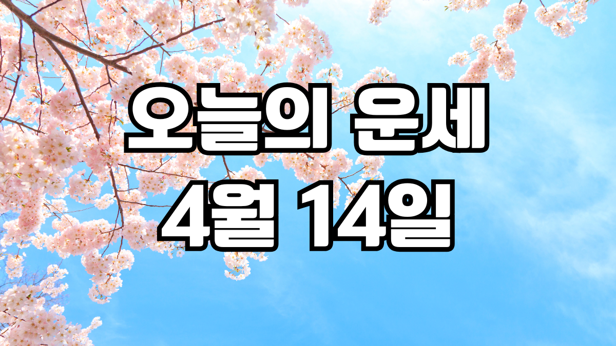 오늘의운세 4월 14일