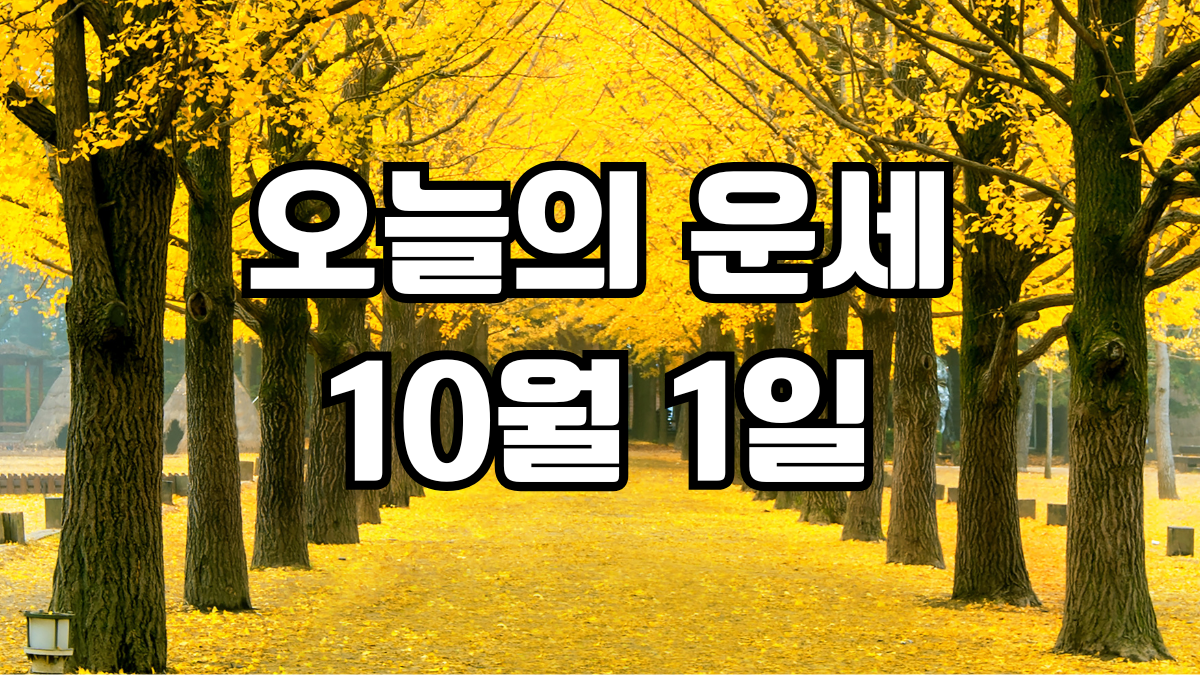 오늘의운세 10월 1일
