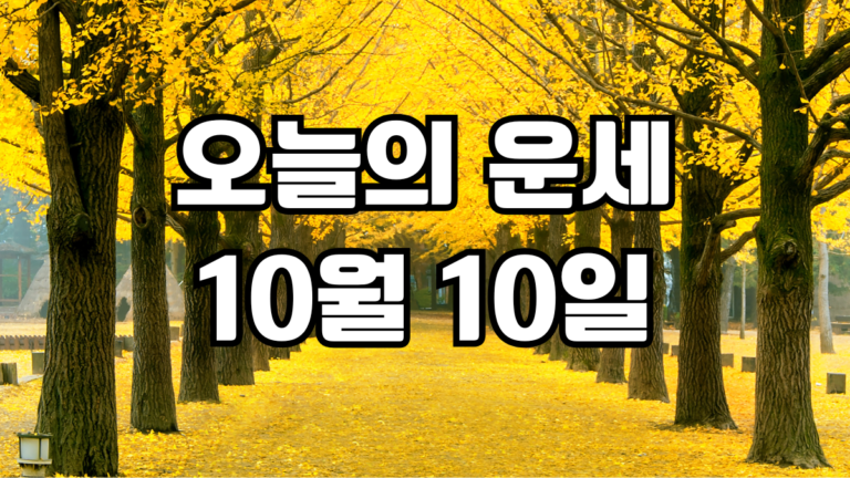 오늘의운세 10월 10일