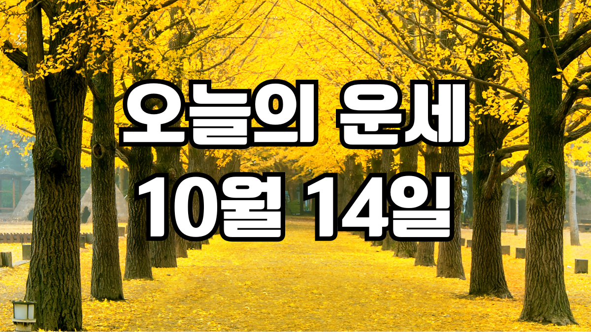 오늘의운세 10월 14일