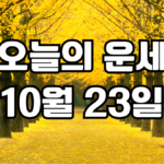 오늘의운세 10월 23일