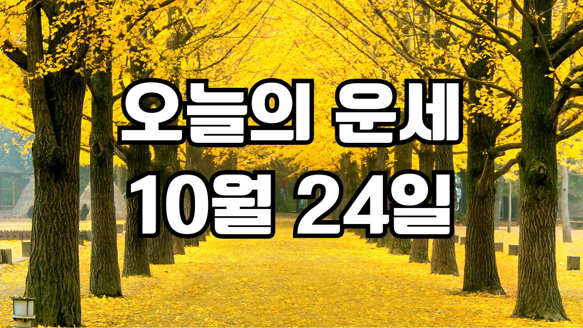 오늘의운세 10월 24일