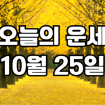 오늘의운세 10월 25일