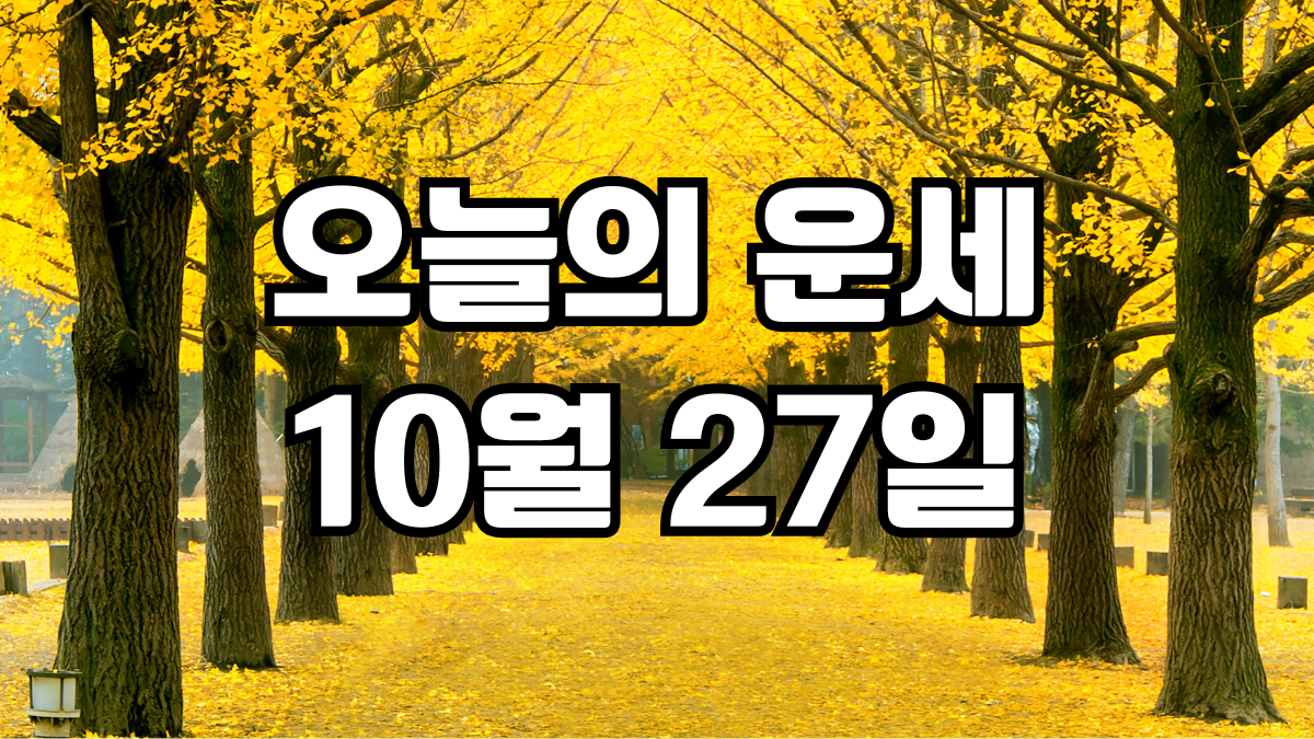 오늘의운세 10월 27일