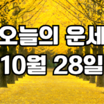 오늘의운세 10월 28일