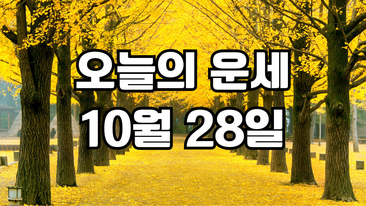 오늘의운세 10월 28일